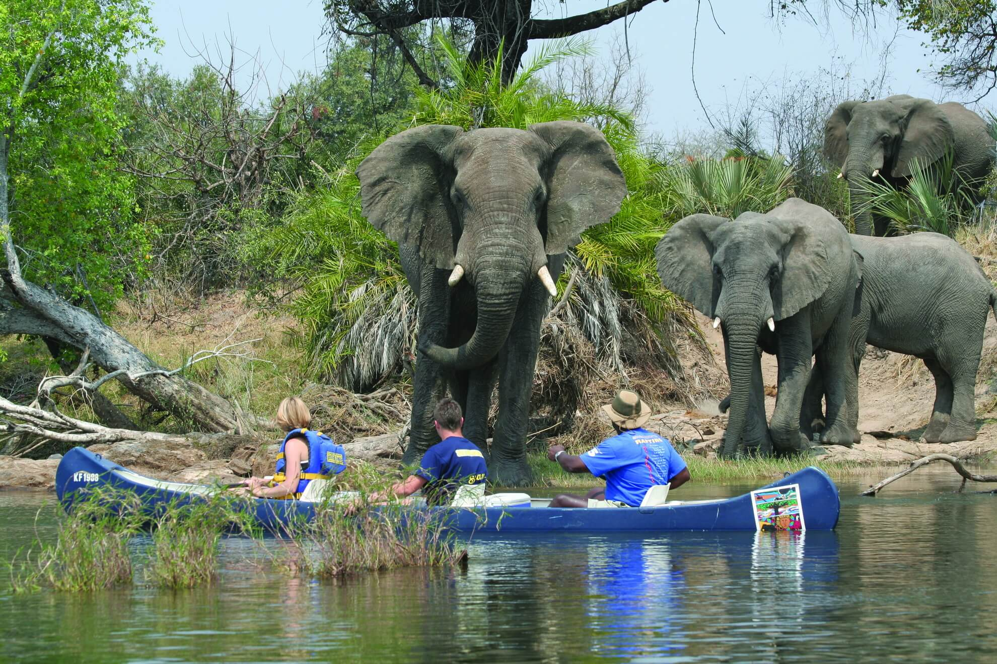 Zambezi Crocodile Safari