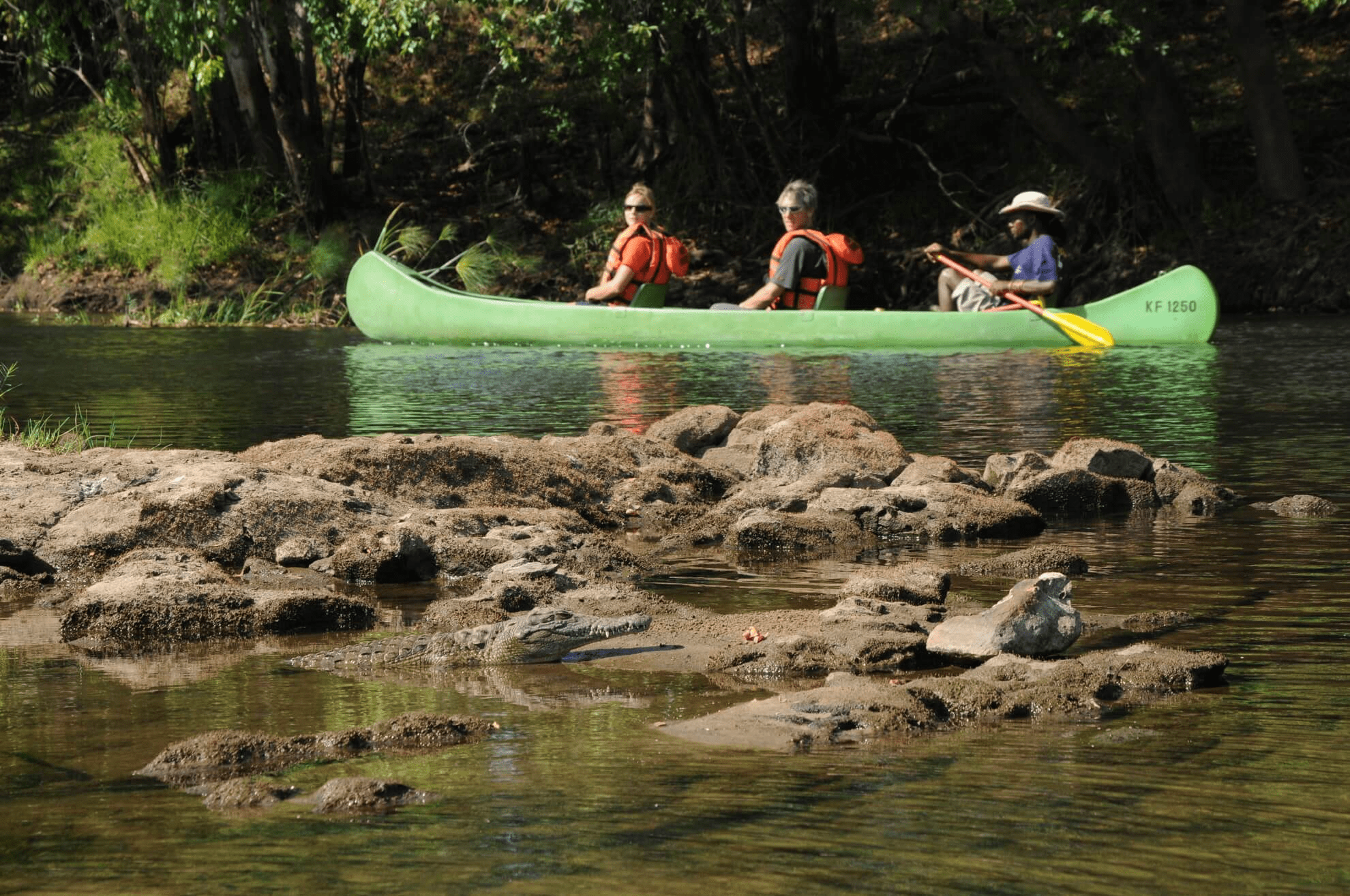 Zambezi Canoe Safari